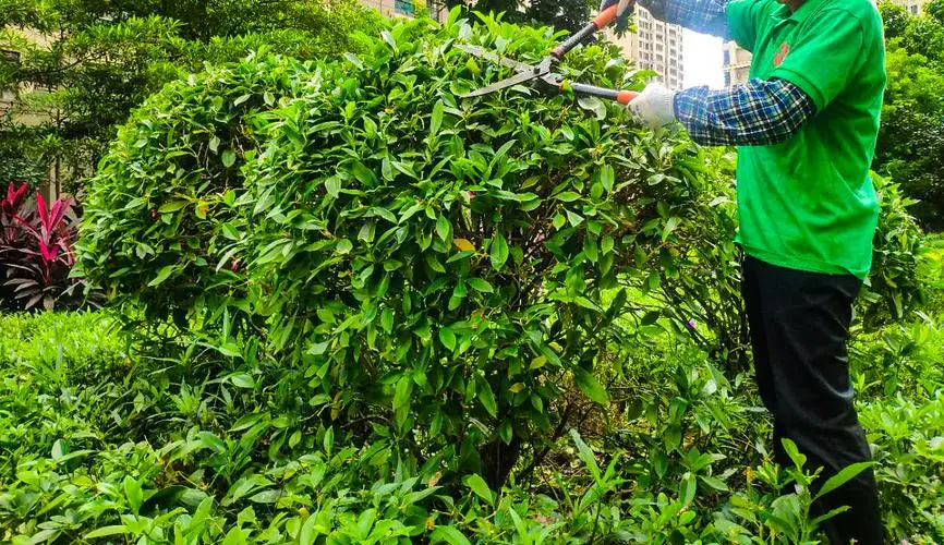 mile米乐m6官网：网球拍上有瑕疵点正常吗_