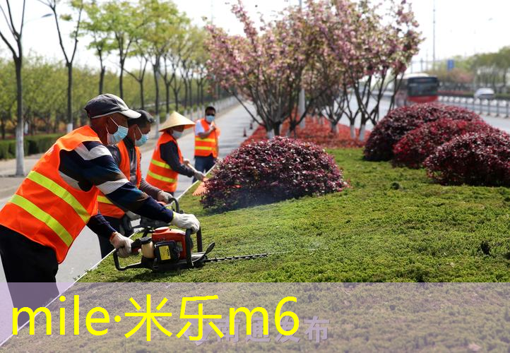 米乐m6官网登录入口：网球拍可以缠缓震膜吗_