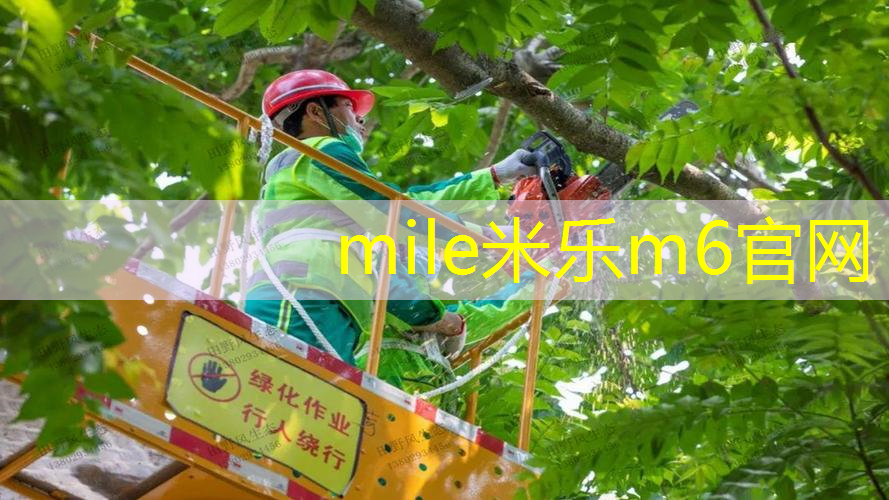米乐m6官网：网球拍选购硬度不够怎么调