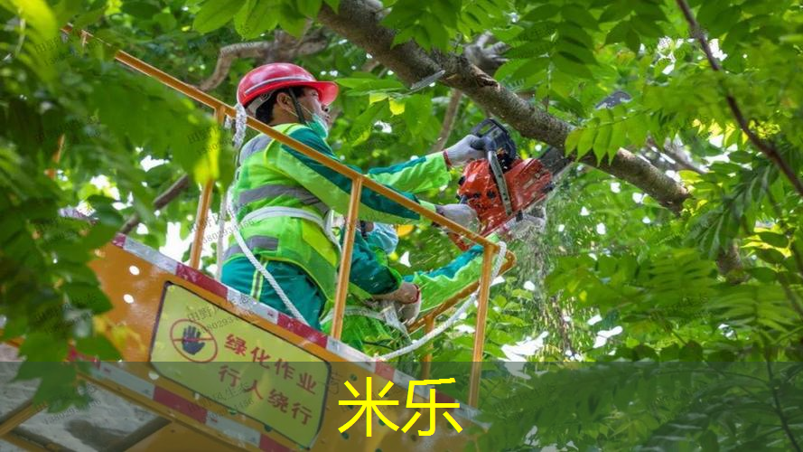 米乐m6官网登录入口：乒乓球台如何抓球