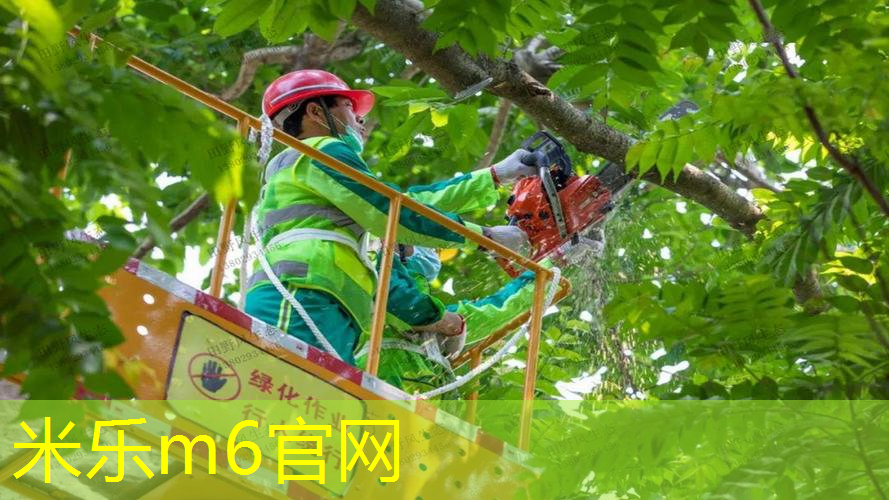 米乐m6官网登录入口：男士室内健身绳怎么选