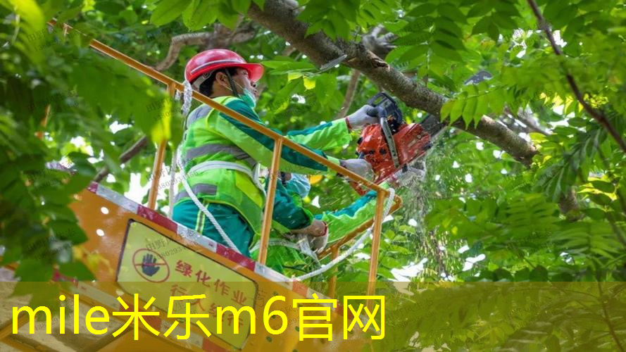 米乐m6官网：感受台球击球声中的张力 触球点的准确命中关键
