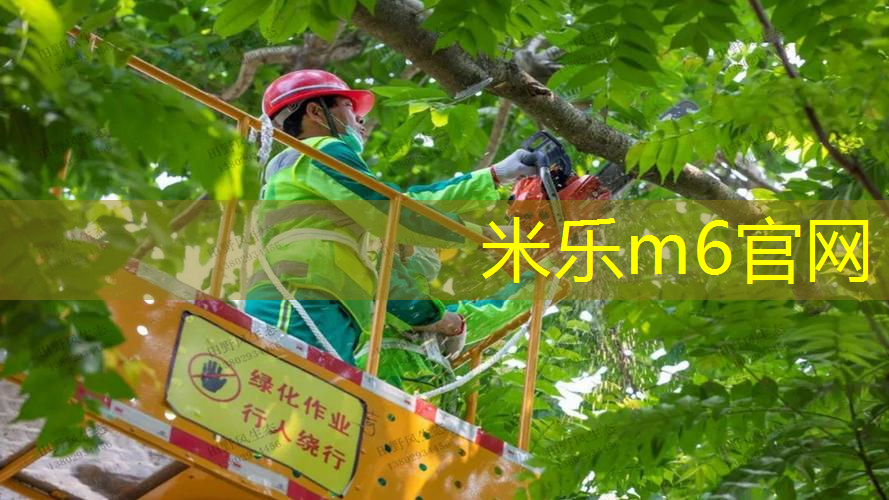 mile·米乐m6：创新康体器材  为您量身定制健身计划