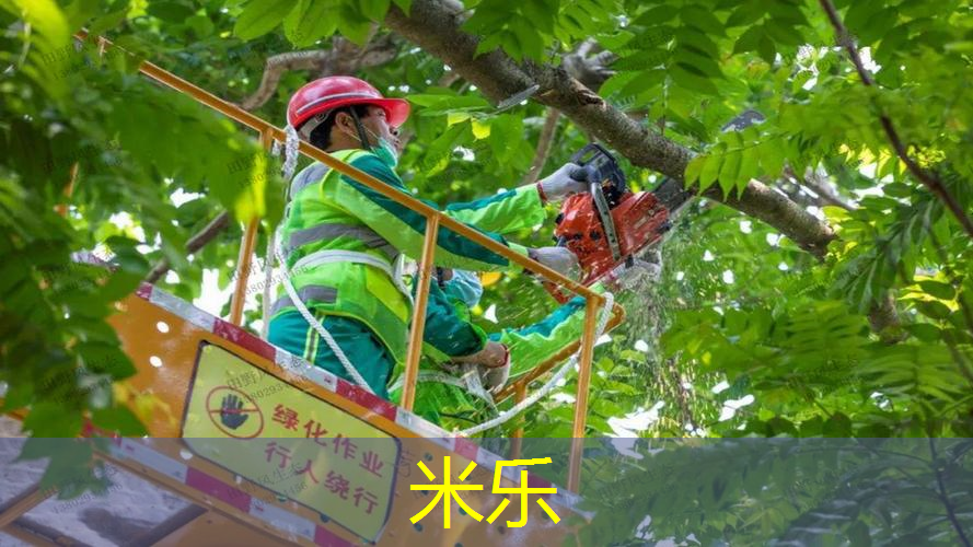 米乐m6官网：乒乓球台是健身器材吗
