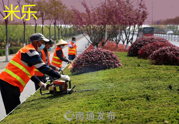 网球拍底胶和手胶