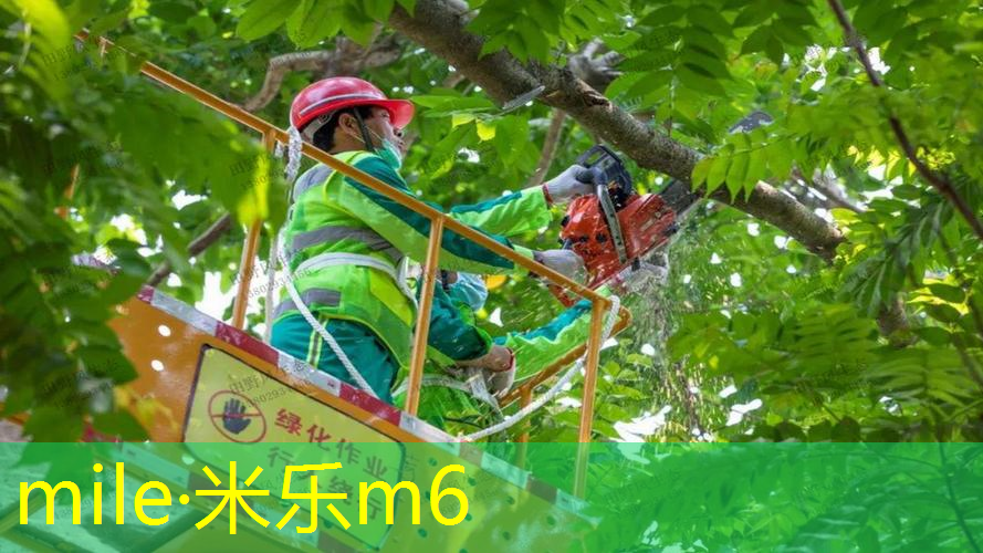 网球拍的串线磅数是多少