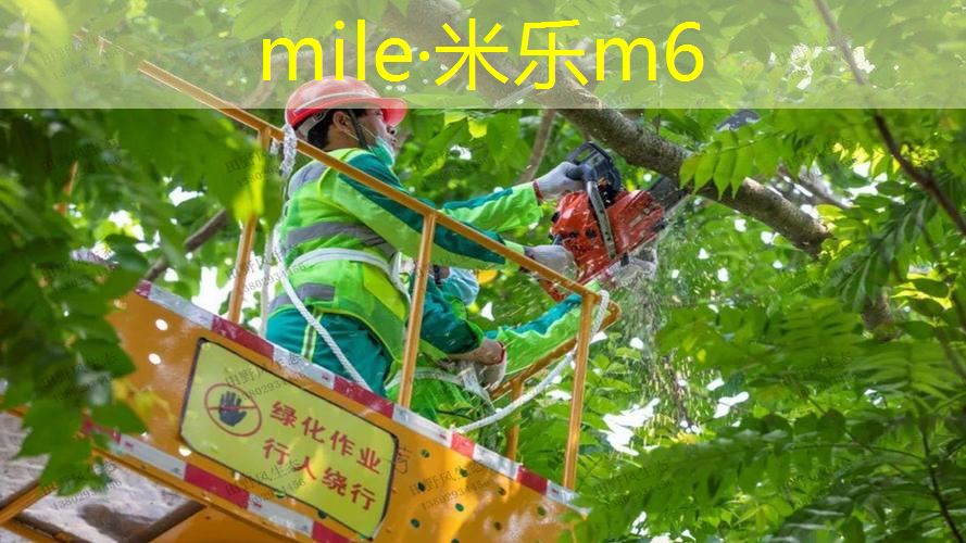网球拍握拍方式和优缺点