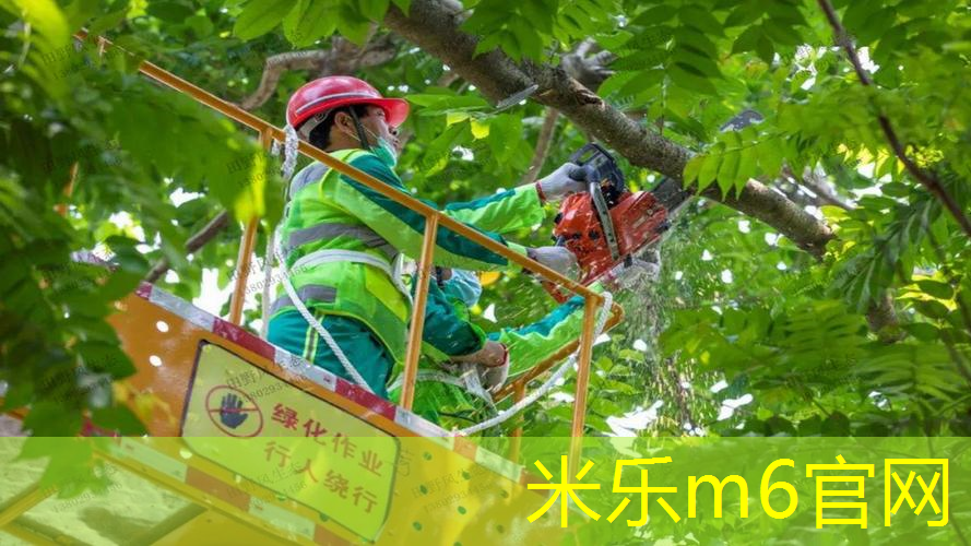 网球拍框保护怎么做