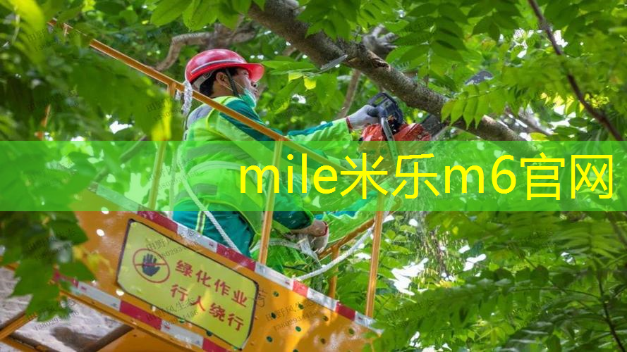爆发型网球拍适合什么人