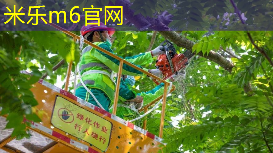 新换网球拍需不需要适应