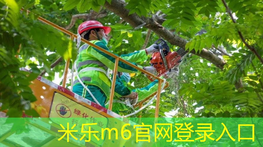 乒乓球台面中线