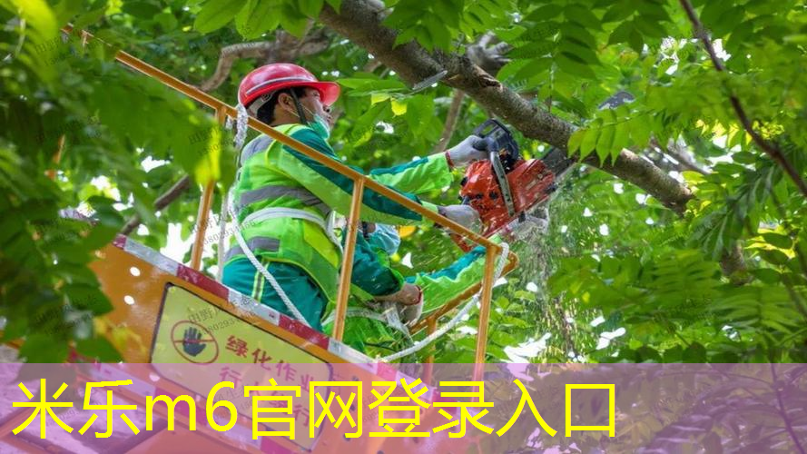 男士室内健身绳怎么选