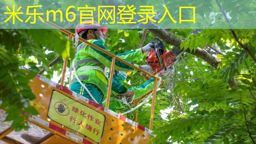 创新康体器材  为您量身定制健身计划